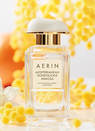 Beauty Estee Lauder Germany E Commerce Site Beauty Estee Lauder Germany E, Sure Dry Basement Repairs Ltd Guishan District Taoyuan City